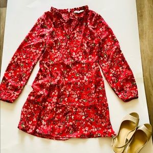 Ann Taylor LOFT floral long sleeve dress. Used, like new.
